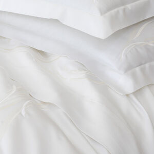 slide 5 Paisley Embroidery Sham Set