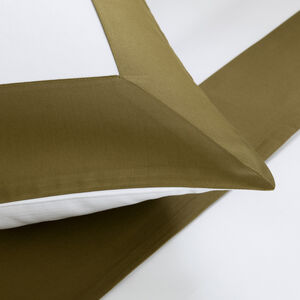 slide 3 Bold Euro Pillowcase