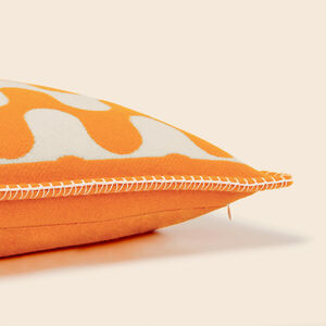 slide 3 Modernism Cushion 003