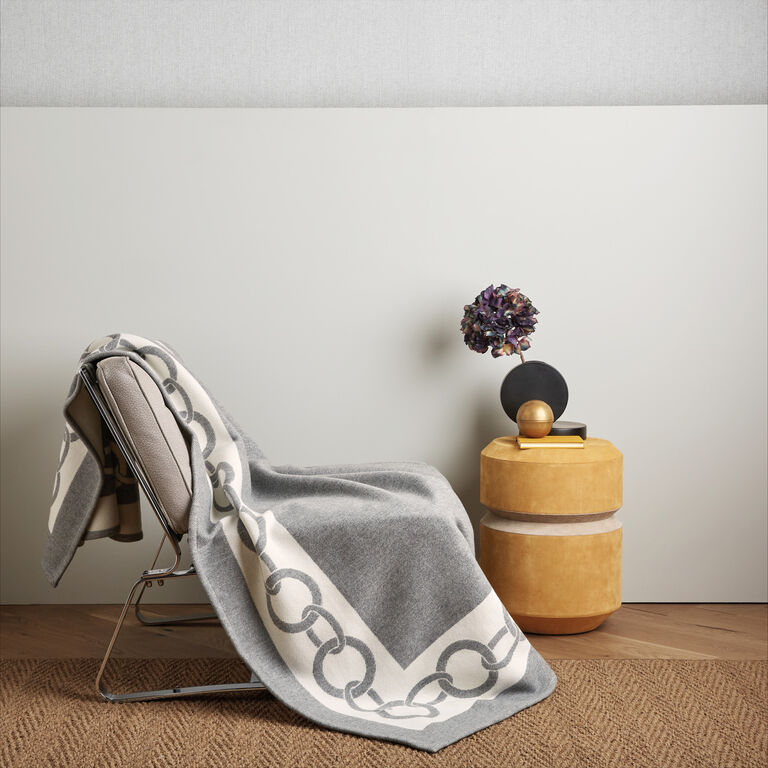 slide 1 Chains Throw