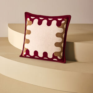 slide 5 Modernism Cushion 002