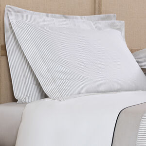 slide 2 Horizon Sham