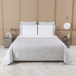 slide 4 Horizon Sham