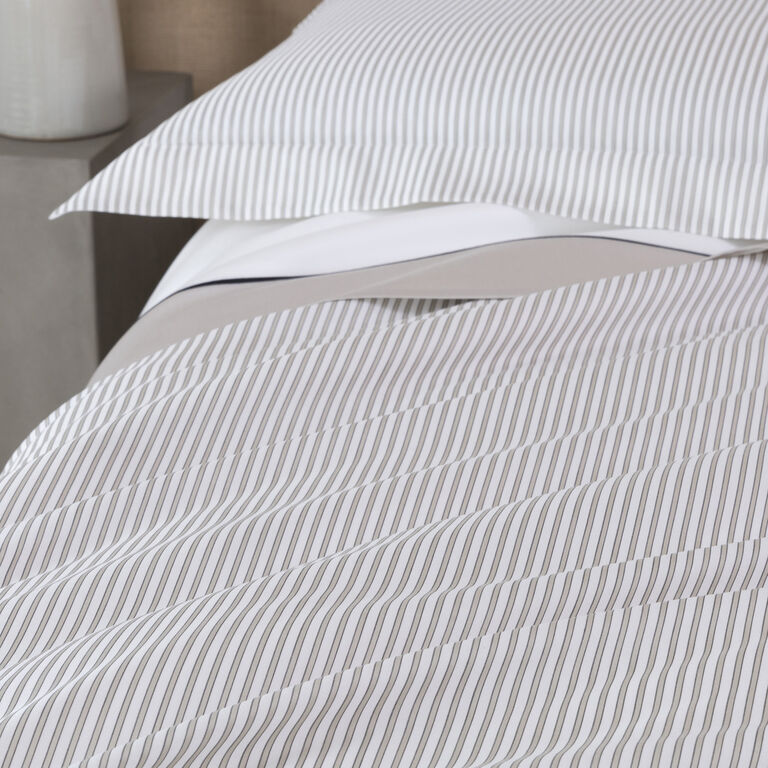 slide 5 Horizon Sham