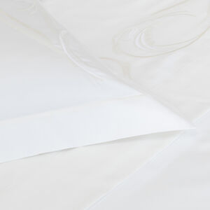 slide 3 Paisley Embroidery Sham Set